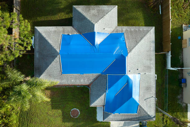 Best Roof Moss and Algae Removal  in Salem, NC